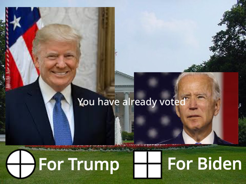 Trump or Biden