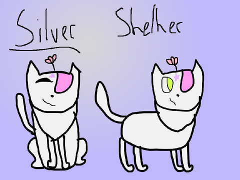 Silver // OC