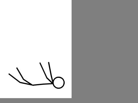  Backflip-2