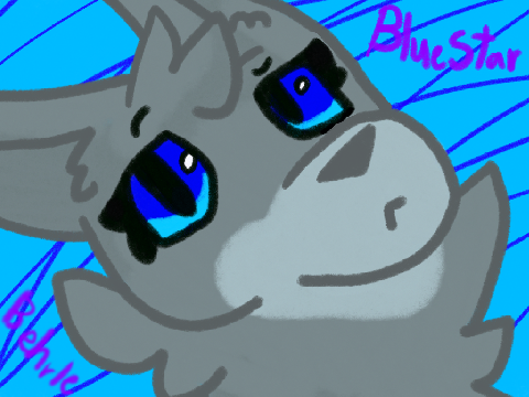 #3 of Drawing Warrior Cats every day until I get bored