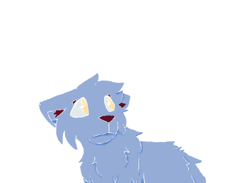 reopened // watermark // cce