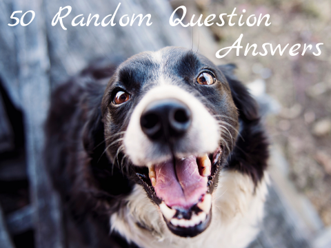 50 Random Questions Tag!