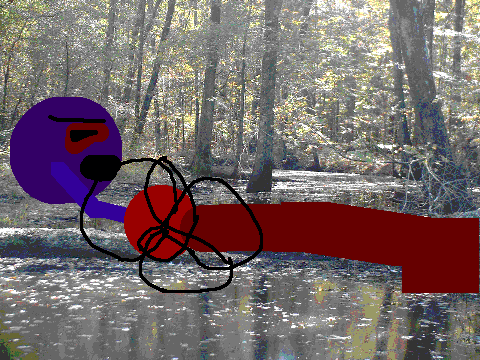 orb