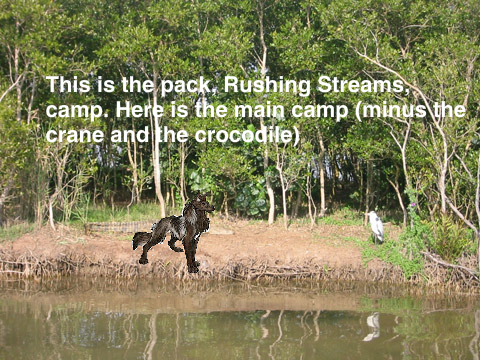 Wolf Pack Roleplay - Rushing Streams