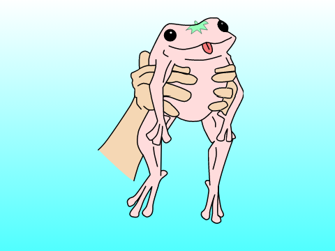 STRABERRY FROG