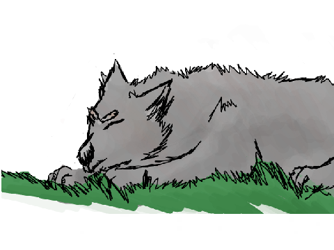 Sleeping wolf CCE