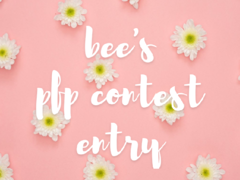  ✿ bee's pfp contest || entry
