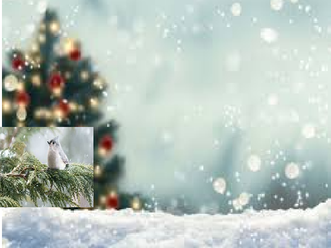 christmas project