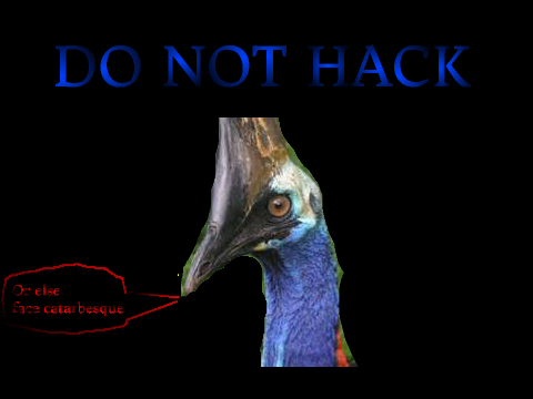 DO NOT HACK