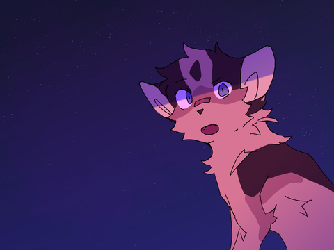 ok actual animation test this time