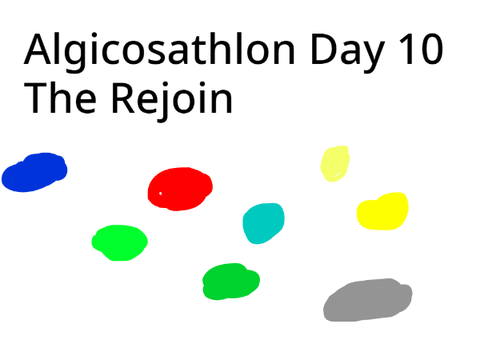 Algicosathlon S2 Day 10