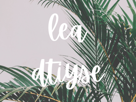 ☁️ lea | 100+ dtiyse ˊˎ-