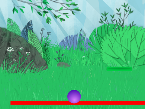 Catch the ball in the woods
