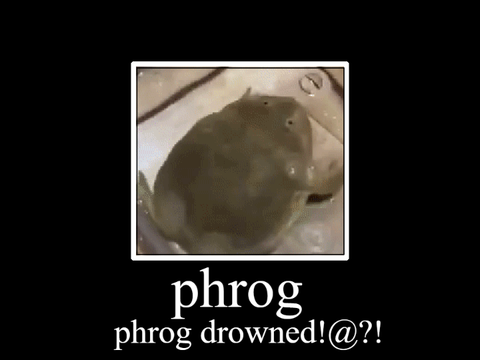 Trashpost status