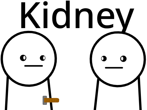 Kidney