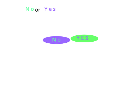 y e s or n o