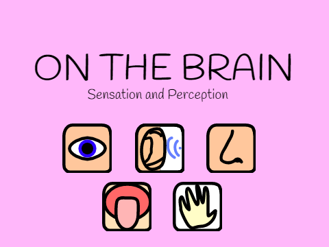 AP Psychology - Sensation and Perception