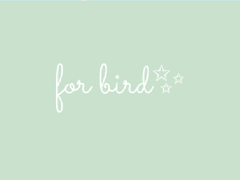 ✰ ᶠᵒʳ ᵇⁱʳᵈ