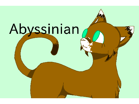 heres a drawing yey