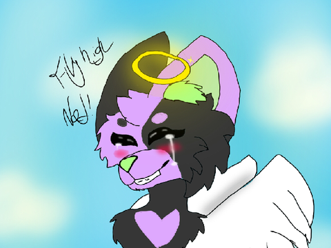 Fly high Ned