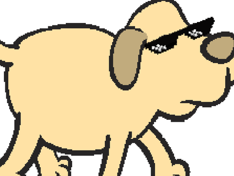 Punk dog