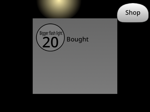 Flash light