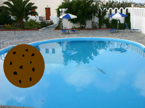 cookie clicker can you make it to the middle