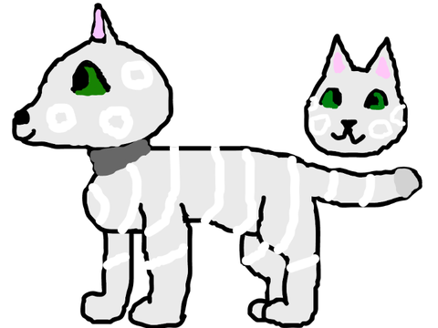 Summerlake Seedpaw/Stripepaw/Talonpaw/Birchpaw