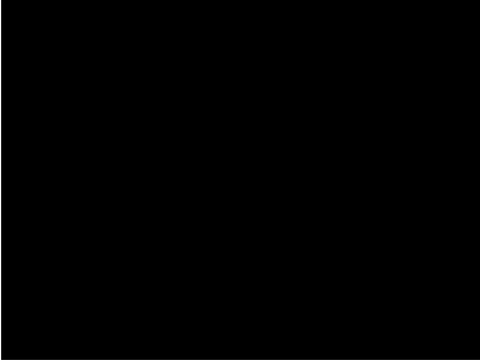 Black OS Startup.