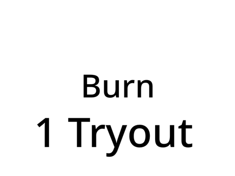 [ WIP ] BURN - P1 Tryout