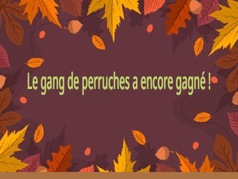 Festin d'écureuil