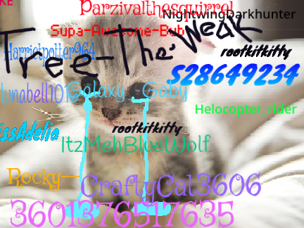 Sign if you hate animal cruelty! remix