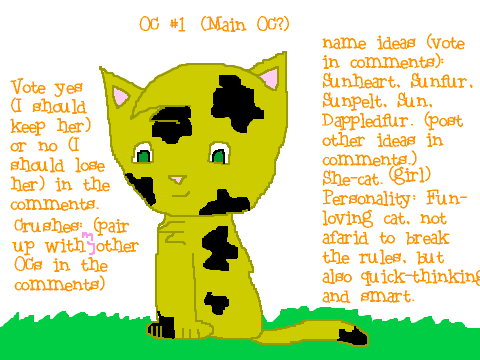 PLEASE LOOK! Should I have OCs? 