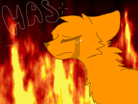JAYFEATHER/WARRIORS MAP part 5