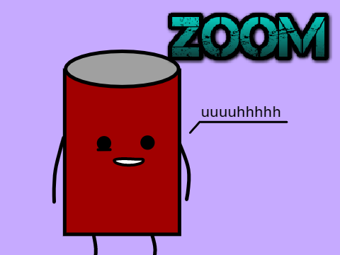 ZOOM