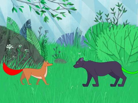 fox vs panther (story)