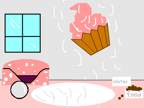Cupcake and Coconut's House