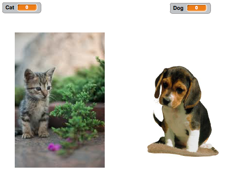 Cats v.s Dogs