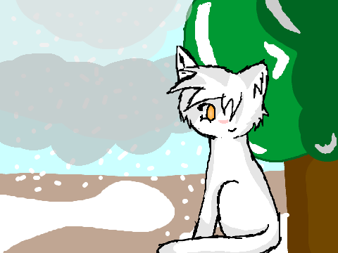 Amberfur in the Snow