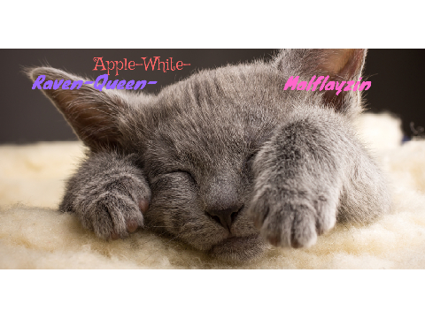 Sign if you love animals! remix remix
