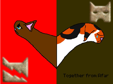 Together from Afar | Bramblepaw and Tawnypaw