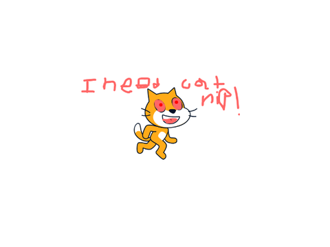 CAT NIIP
