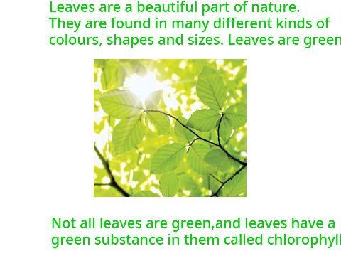Leaves, a small composition.