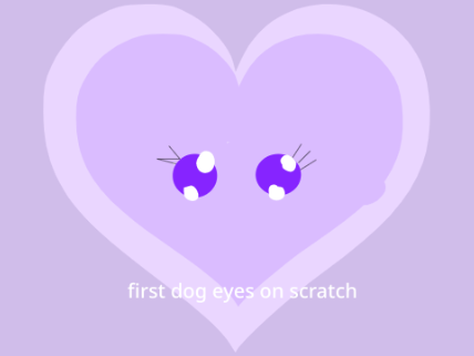 First dog eyes