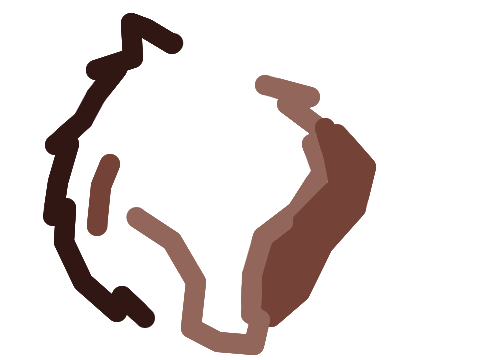 pen mudstar