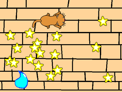 Kitty Loves Stars 