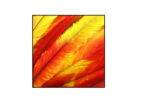 Yellowfeather
