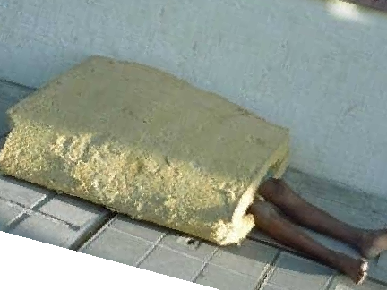 sponge bob irl