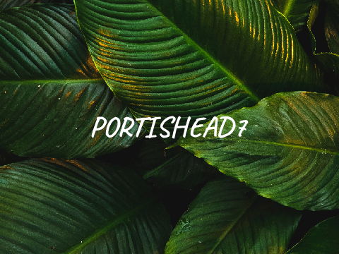 Intro | portishead7