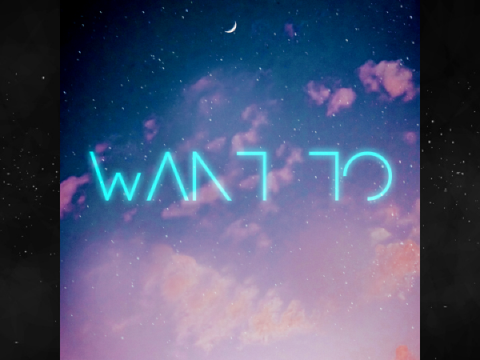 ND - Want To (feat. Prox) #music
